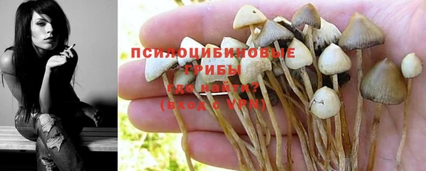 гидропоника Вязники