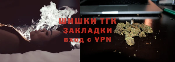 ешки Вязьма