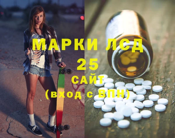 ешки Вязьма