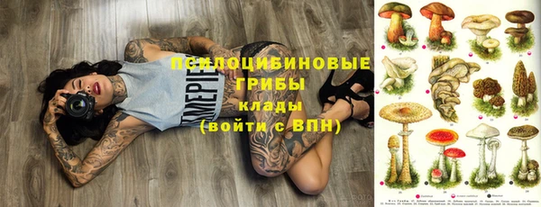ешки Вязьма
