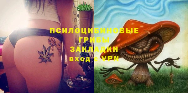 ешки Вязьма